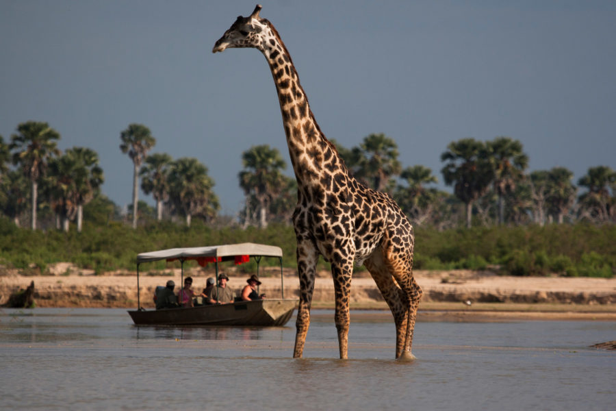 Boat Safari on the Rufiji River
