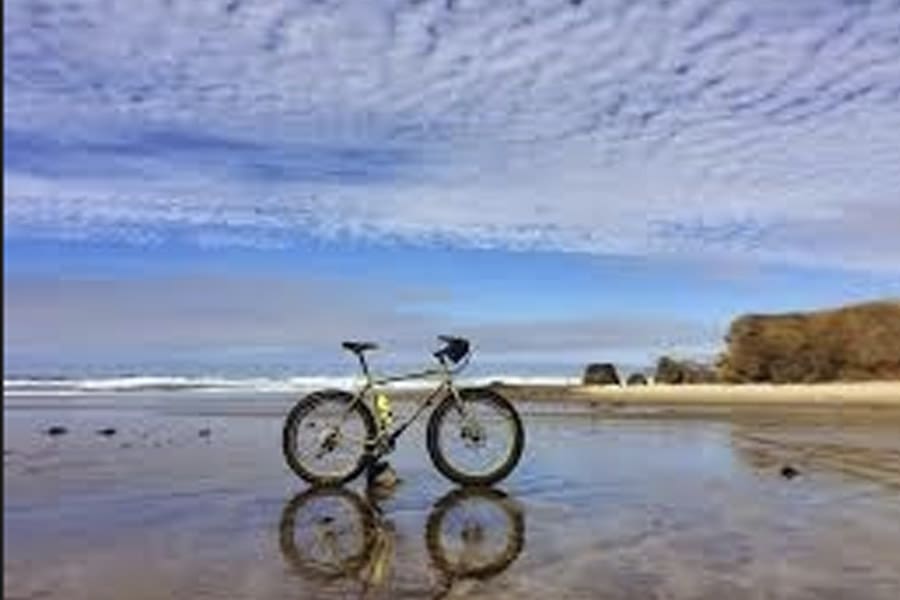 Fat Bike Safari in Jangwani