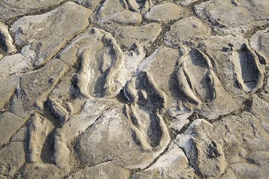 Hominid footprints south of lake Non PW vehicle 1