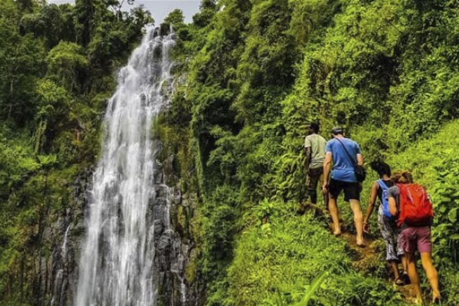 Kilimanjaro Cultural Walking tour Kilimanjaro Cultural Walking tour