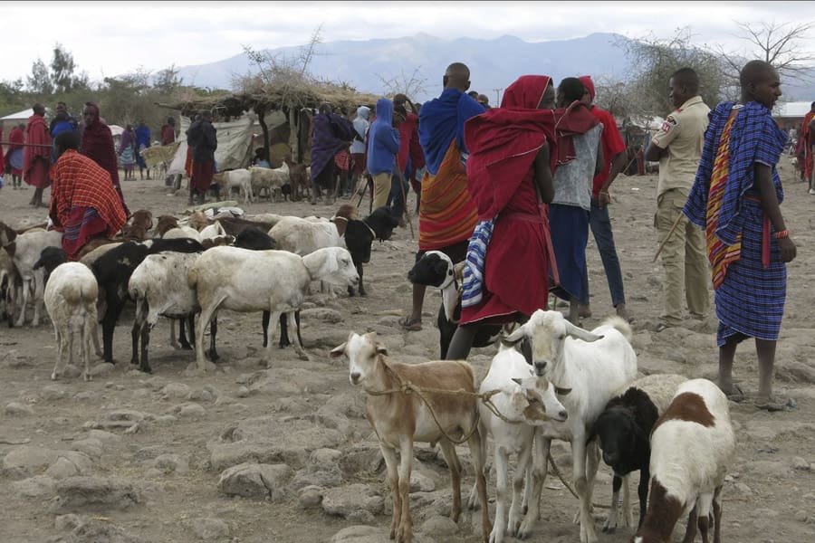 Maasai market tour Mto wa Mbu