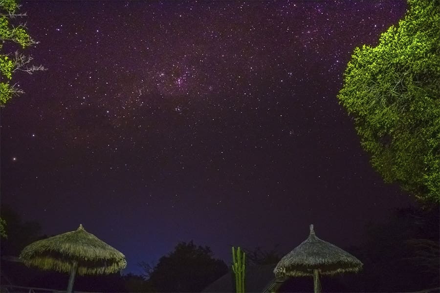 Night under the Stars surcharge for 2
