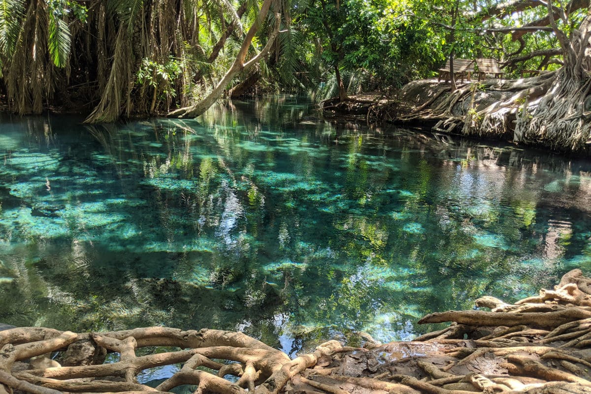 Tanzania Arusha Kikuletwa Hot springs