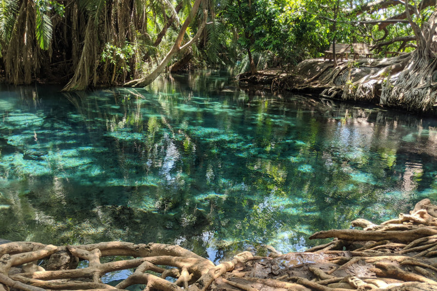Kikuletwa Hot springs