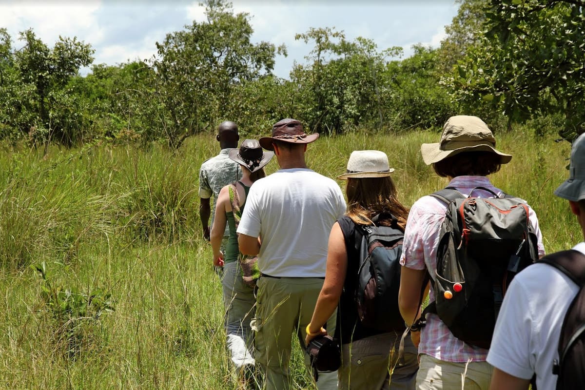 Walking safari Jangwani