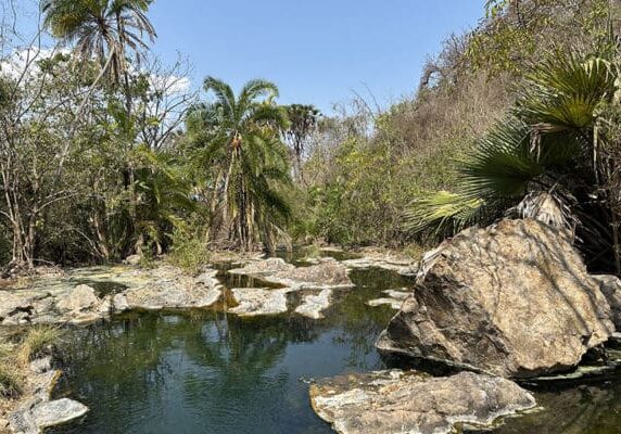 Africa-Safari-Tagalala-Hot-Spring Africa-Safari-Tagalala-Hot-Spring