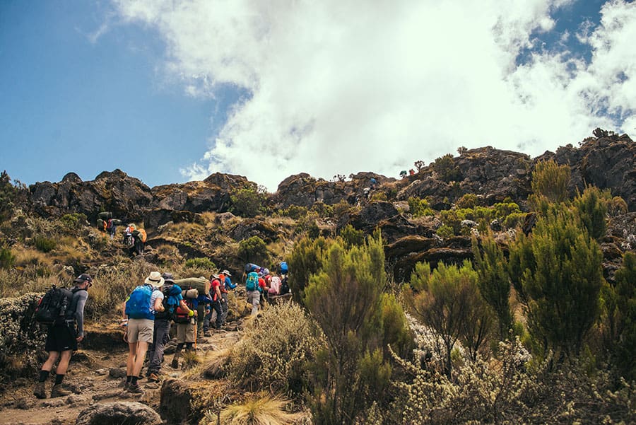 Tanzania,,Kilimanjaro,-,October,12,,2016:,Kilimanjaro,National,Park,,Jungle TANZANIA, KILIMANJARO - OCTOBER 12, 2016: Kilimanjaro National Park, jungle with guide, porter and cameraman