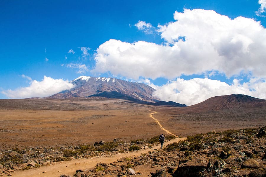 Hiking,To,The,Top,Of,Kilimanjaro Hiking to the Top of Kilimanjaro